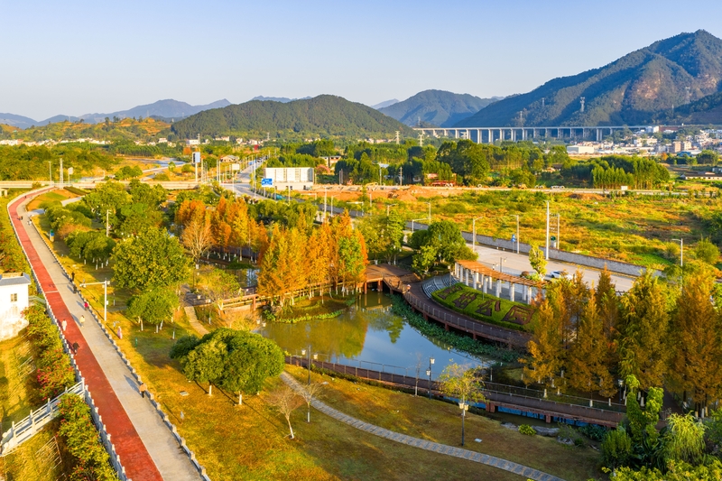 广西梧州：湿地公园冬季景美如画