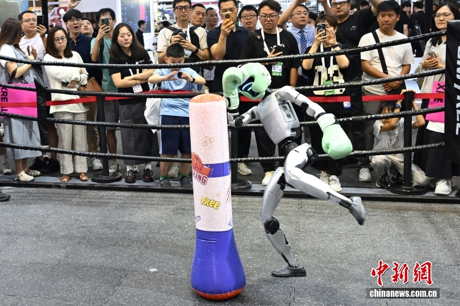 7月26日，人形机器人进行格斗表演。当日，2025世界人工智能大会在上海开幕。大会展览面积首次突破7万平方米，吸引了800余家企业参展，集中展示3000余项前沿展品及100余款“全球首发”“中国首秀”新品，规模创历届之最。 中新社记者 汤彦俊 摄