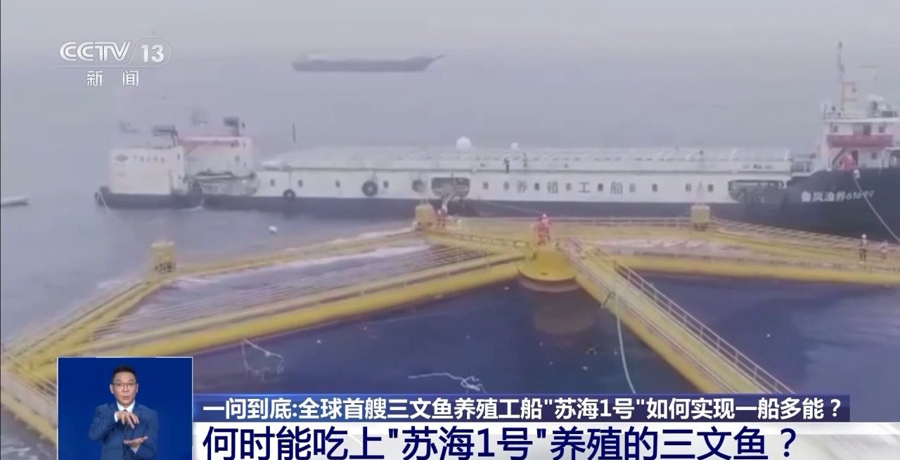 海上“牧魚”成現(xiàn)實(shí)何時能吃上“蘇海1號”養(yǎng)殖的三文魚？昂立國際教育圖片