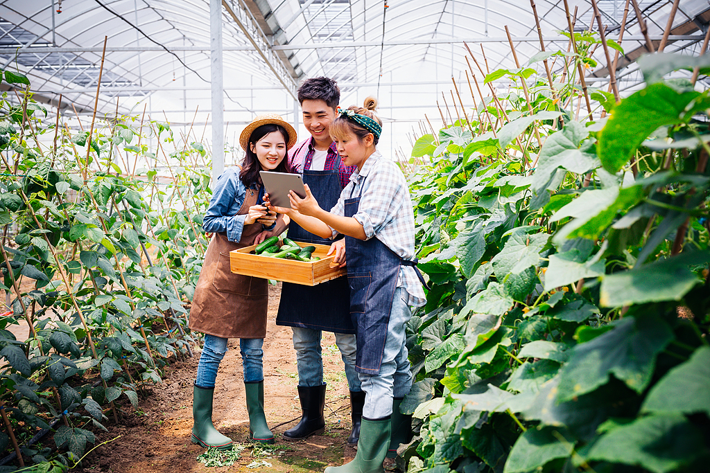 “谁来种地”关乎未来
