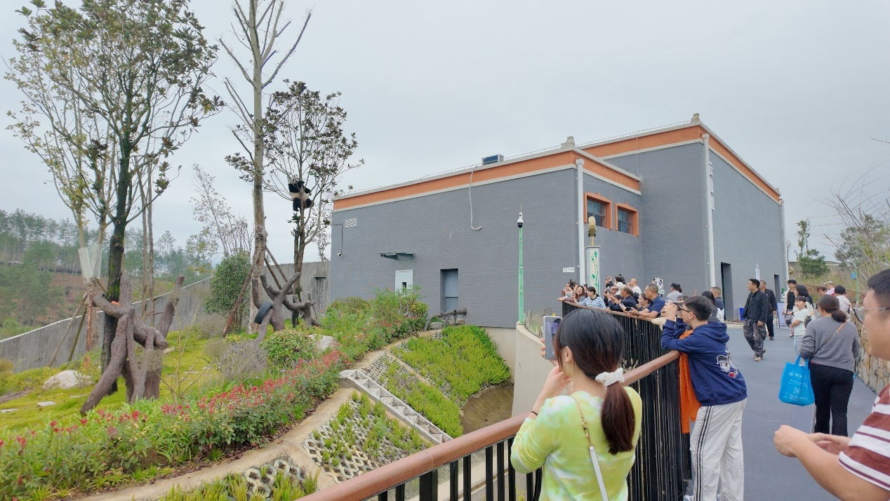 再添国字号荣誉！四川北川入选“中国文化百强县”