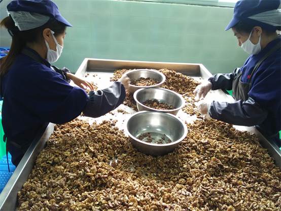 广元市朝天区“一类事”集成改革赋能核桃全产业链高质量发展