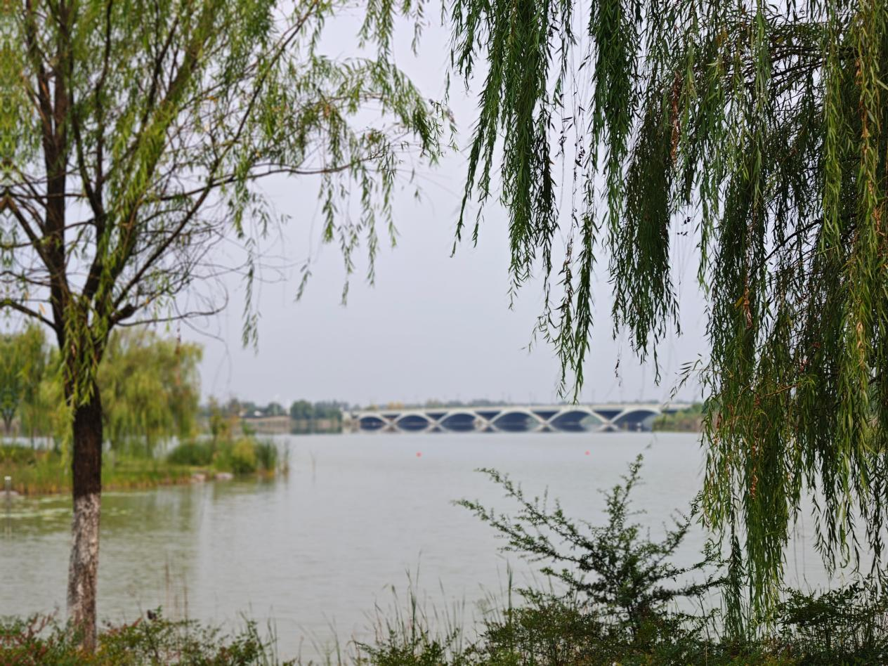 颍州，这座皖北古城，凭什么让年轻人“上头”？