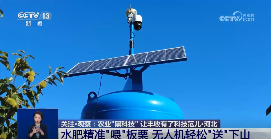 大話西游：歸來