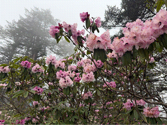 四川瓦屋山五大文旅新品重磅发布：从“看山”到“玩山”的关键转型  开启全季度假新纪元