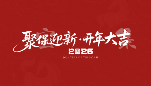 “聚保迎新·开年大吉”系列新春促消费活动火热开启