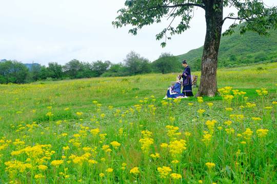 海拔2600米的“季节悖论”：盛夏七月石棉孟获城正春暖花开