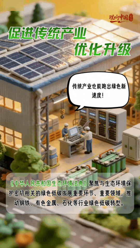 理响中国·一笔一画｜法治护绿！“典”亮美丽中国