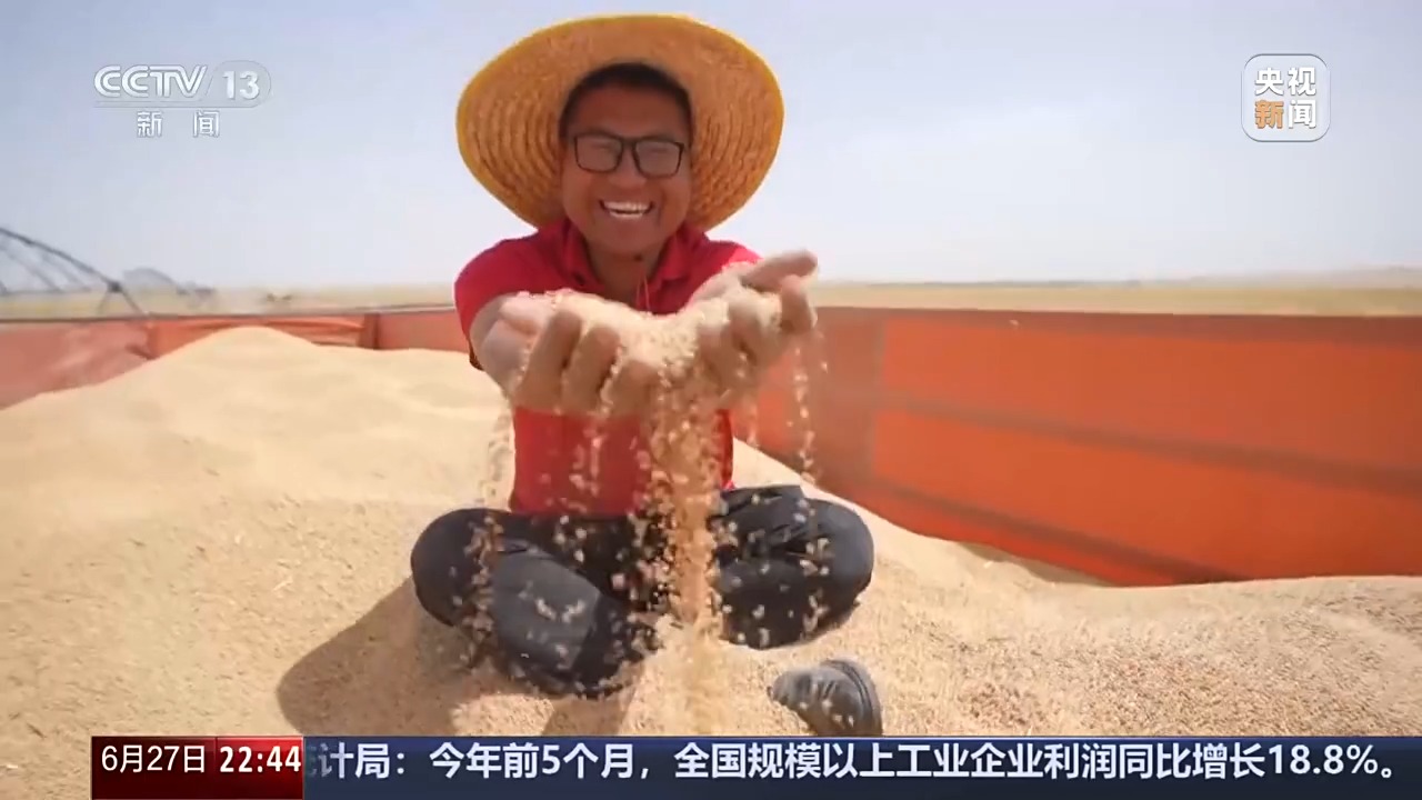 探索“治沙返耕”新路径 他们在塔克拉玛干把沙漠“变”麦田