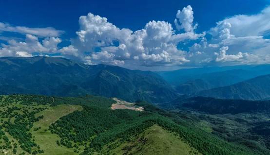 乐山峨边勒乌乡：“蘑法森林”系列活动带你解锁山野清凉新玩法