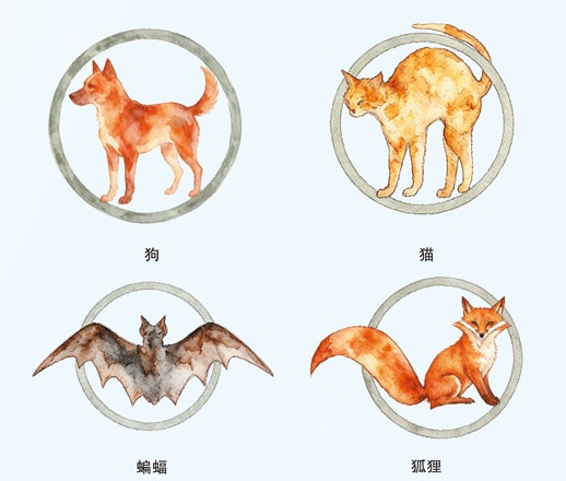 投喂流浪动物？先看这份安全指南