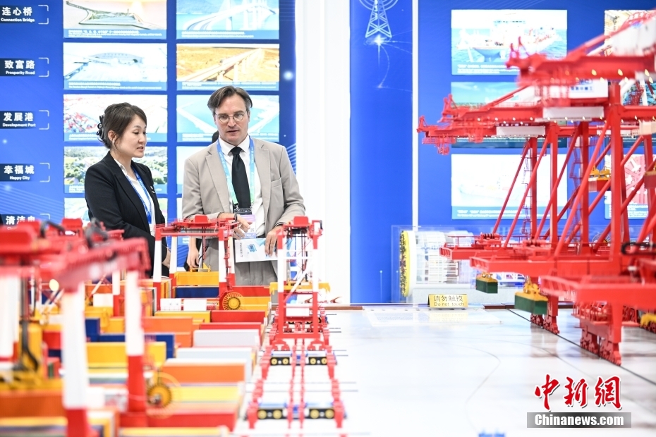 中新网记者 李骏 摄 图为先进制造链展区，外国观众在看码头模型。