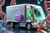 CRISPR有了新型“快递车”