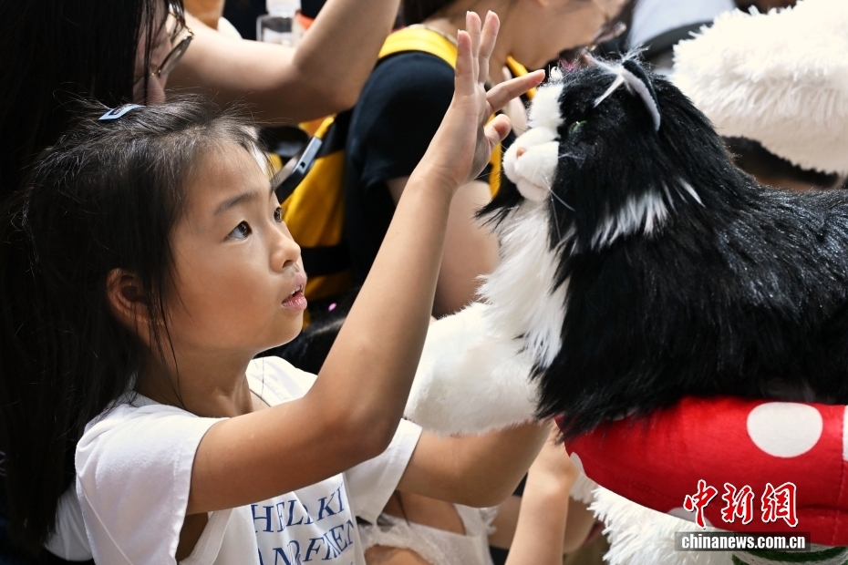 中新社记者 王紫儒 摄 8月10日，2025世界机器人大会上陪伴型机器人受欢迎。该大会于8月8日至12日在北京亦庄举行，主题为“让机器人更智慧，让具身体更智能”。图为大象机器人展台的仿生陪伴机器宠物吸引小观众。