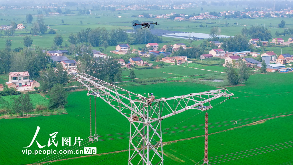 江苏淮安：无人机助力电网不停电检修【2】 8月6日，在江苏省淮安市500千伏旗潘/杰潘输电线路施工现场，电力工人运用中型多旋翼无人机进行不停电安装防鸟装置作业。该技术通过无人机精准投放防鸟装置，显著提升了作业效率和安全性，避免了传统停电作业对居民和企业用电的影响，为夏季用电高峰期间电网安全稳定运行提供了有力保障。史俊摄（人民图片网）