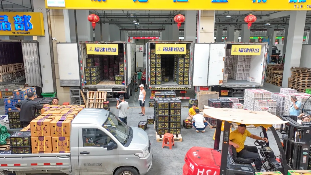 首衡脈動(dòng)，守護(hù)京津冀“菜籃子”，激活全國大市場(chǎng)京津冀