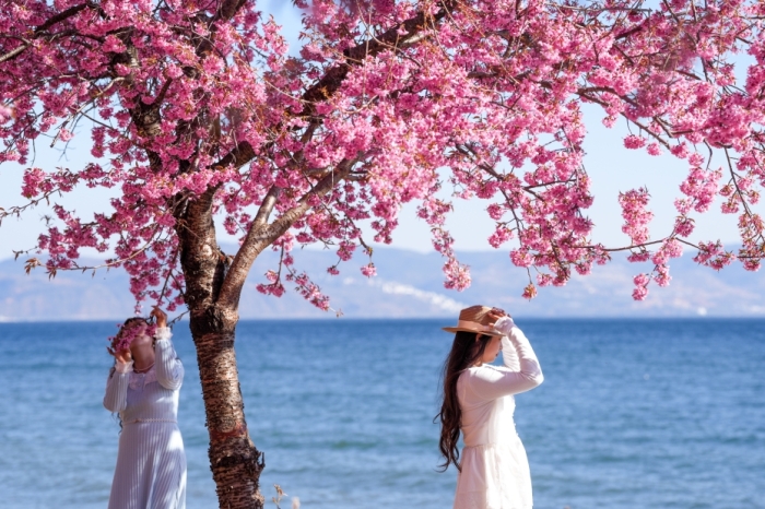 2025年云南旅居总花费697.05亿元