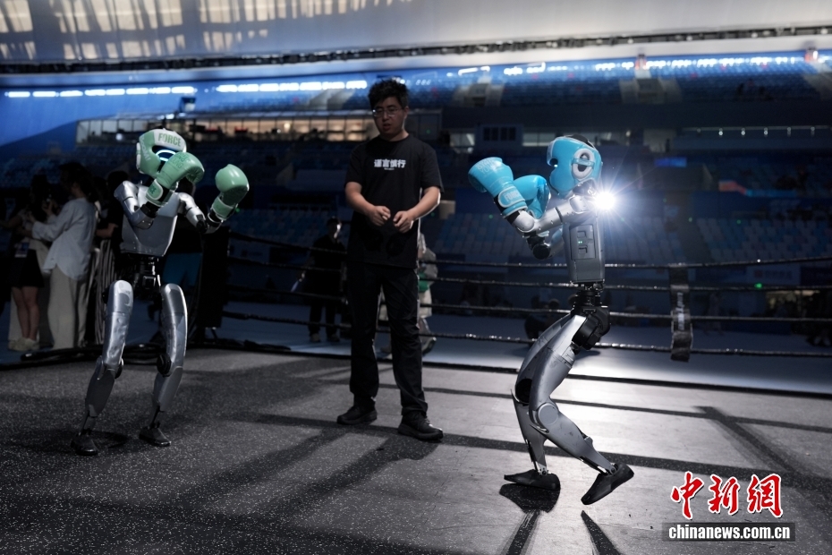 8月13日，在北京国家速滑馆，两台宇树科技机器人训练自由搏击项目。8月14日至17日，2025世界人形机器人运动会将在北京国家速滑馆（冰丝带）举行。来自全球五大洲16个国家的280支队伍、500余台人形机器人将展开26个赛项、538个比赛项目的竞技对决。中新社记者 张祥毅 摄