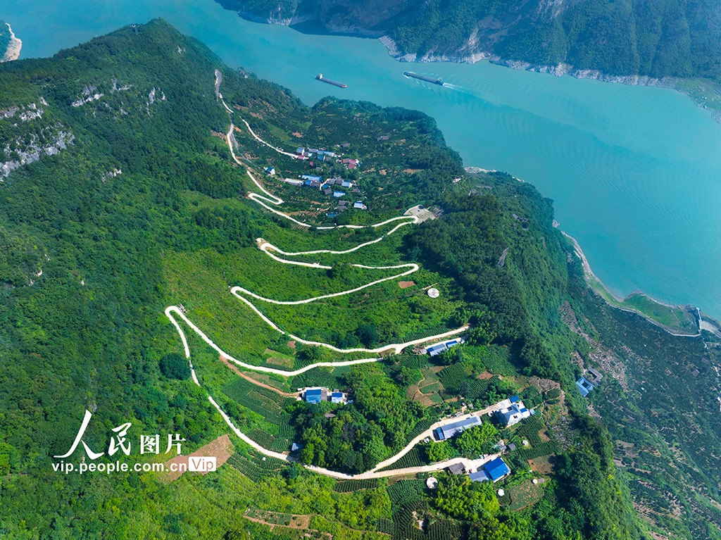 湖北秭归：路畅景美产业兴插图