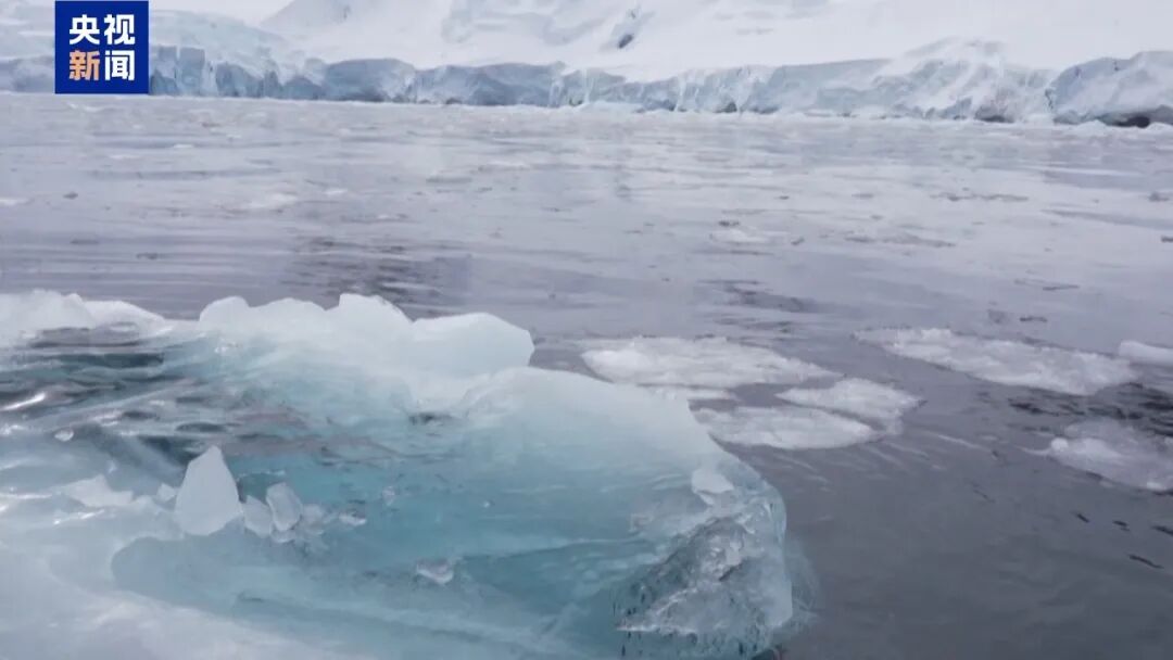 图片[6]-全球最大冰山A23a，没了-华闻时空