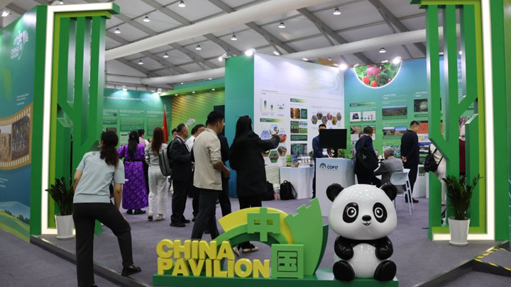 COP17“中国角”展示中国防沙治沙成效