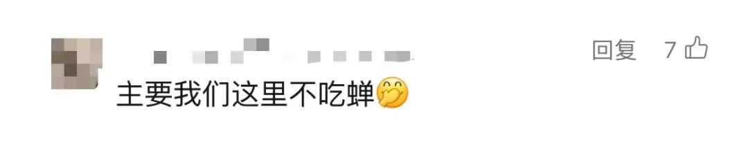 上海市民遭遇困扰：树上滴水，舔了才知道是尿！这物种今年明显增多？专家分析插图3