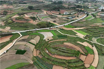 广西南宁民众抢抓农时开展春耕春管作业