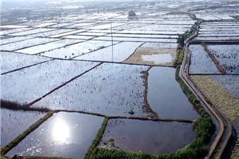 “十五五”期间我国将加快建设现代化水网