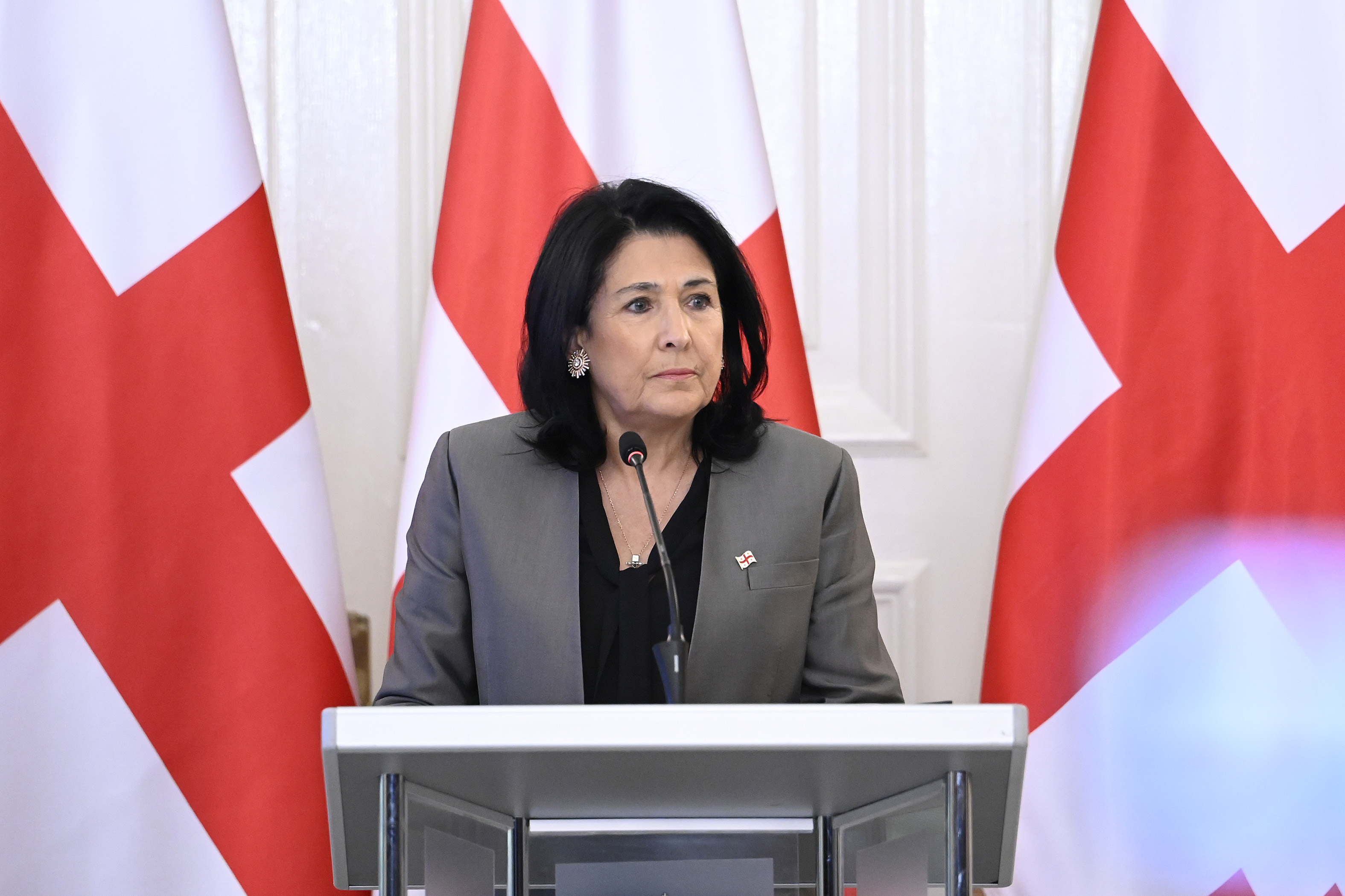 格鲁吉亚总统否决《外国影响透明度法案》
