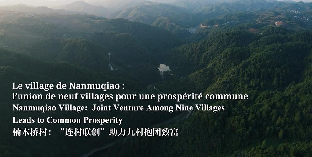 Le village de Nanmuqiao : l'union de neuf villages pour une prospérité commune