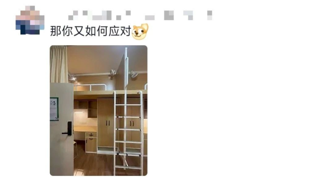 这个宿舍终究还是选对了！网友：可以睡觉是它最不值一提的优点插图3