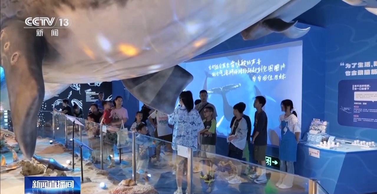 暑期博物馆四大推荐：恐龙蛋、角岛鲸、兵法简、深空展插图8