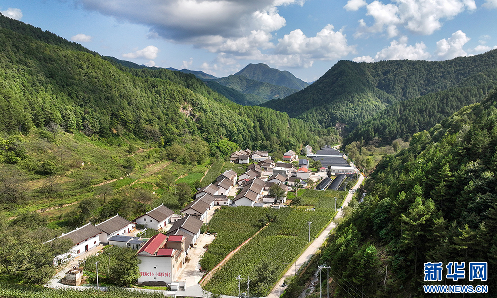 陕西柞水:建设秦岭山水乡村 共享宜居幸福家园
