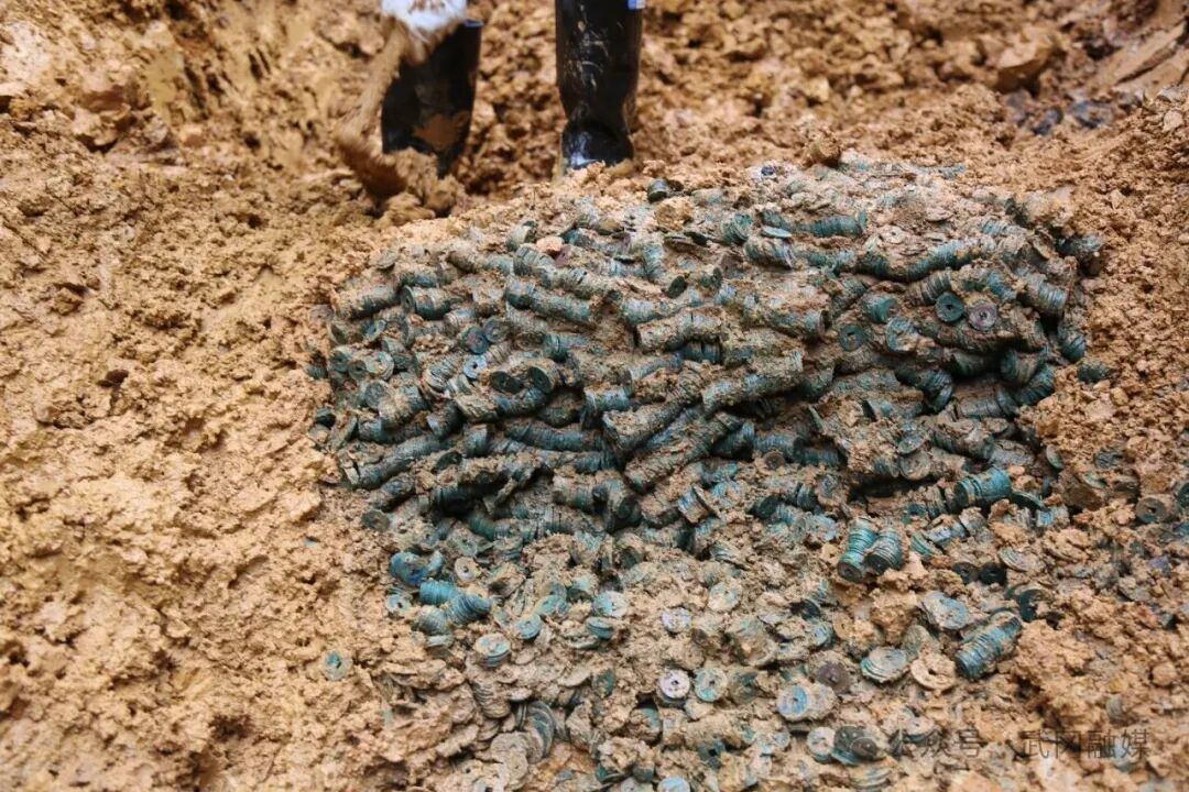 蓝狮注册_蓝狮在线地址