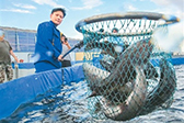 新疆：“水产大省”养成记