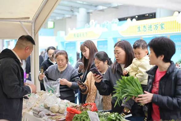 春日尝鲜正当时！四川平武高山野菜受绵阳市民热捧