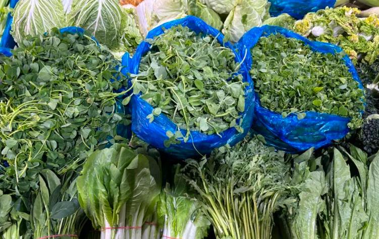 春菜上市 选购“第一口鲜”