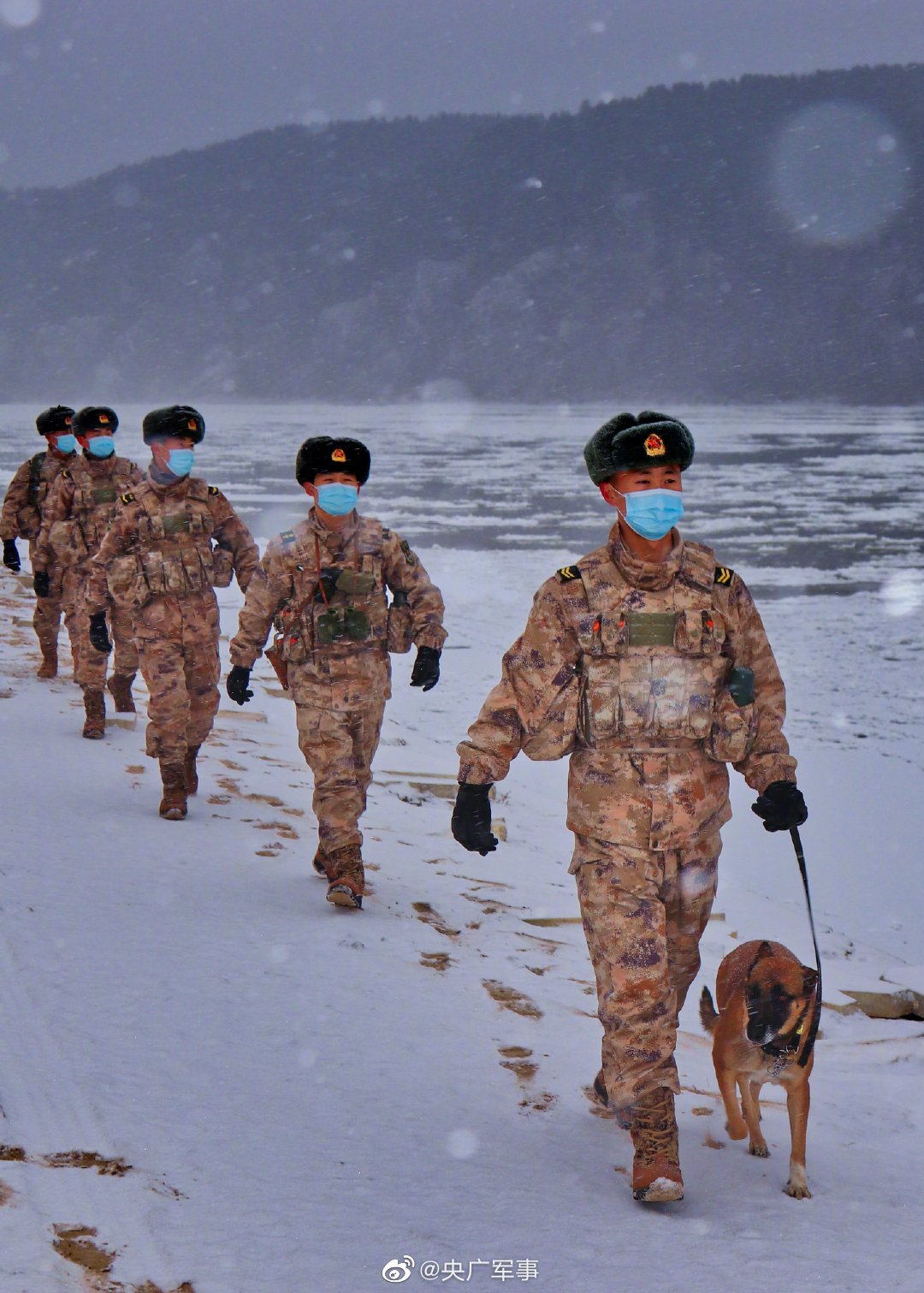 15℃!北极哨所官兵带军犬踏雪巡逻