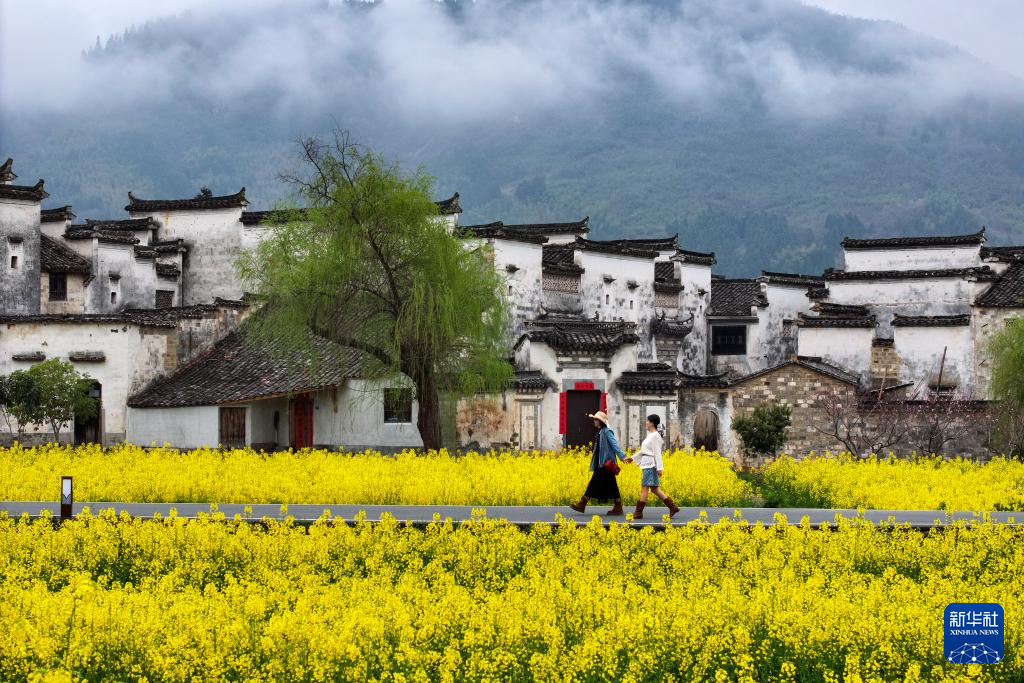 花开客自来