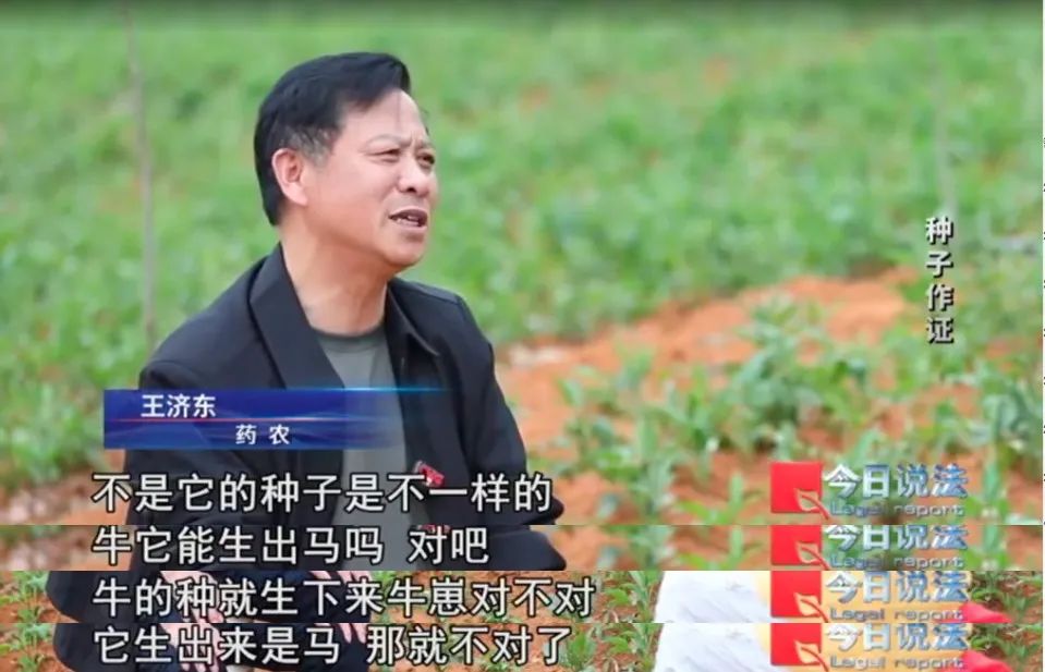 播下白术种子，却长出满地杂草？药田怪象频发，经济损失近1800万元……插图2