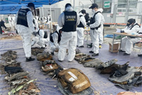 韩国济州航空空难时隔一年多再发现遇难者遗骸