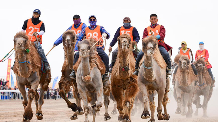 内蒙古阿拉善：戈壁大漠上的文旅盛会