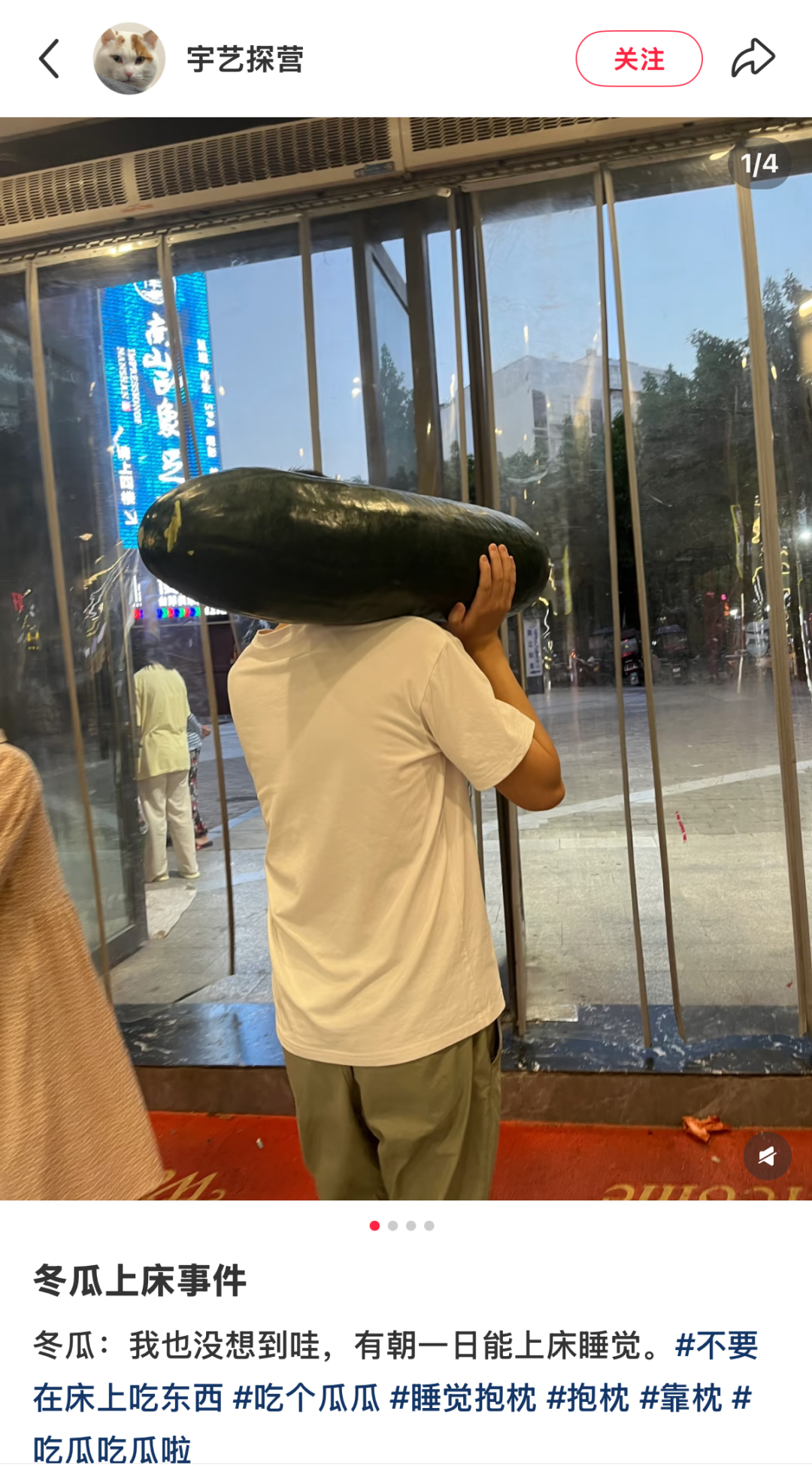 一夜之间，“抱着冬瓜睡觉”突然走红！男子在深圳买28斤冬瓜带回香港插图2