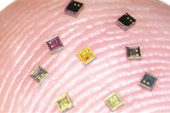 环球网_全球生活新门户_环球时报旗下网站