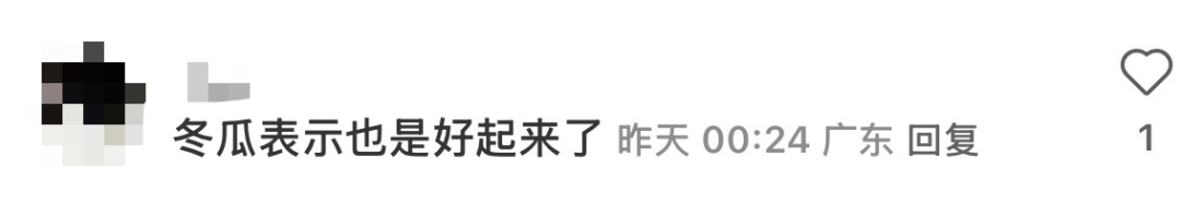 一夜之间，“抱着冬瓜睡觉”突然走红！男子在深圳买28斤冬瓜带回香港插图3
