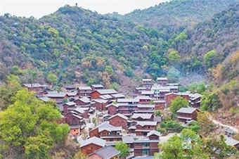 石斛满山 农旅相宜