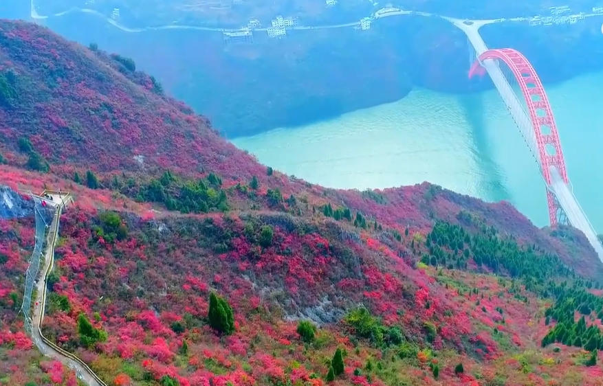 多地红叶联动看万山红遍