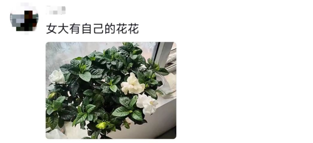 这个宿舍终究还是选对了！网友：可以睡觉是它最不值一提的优点插图9