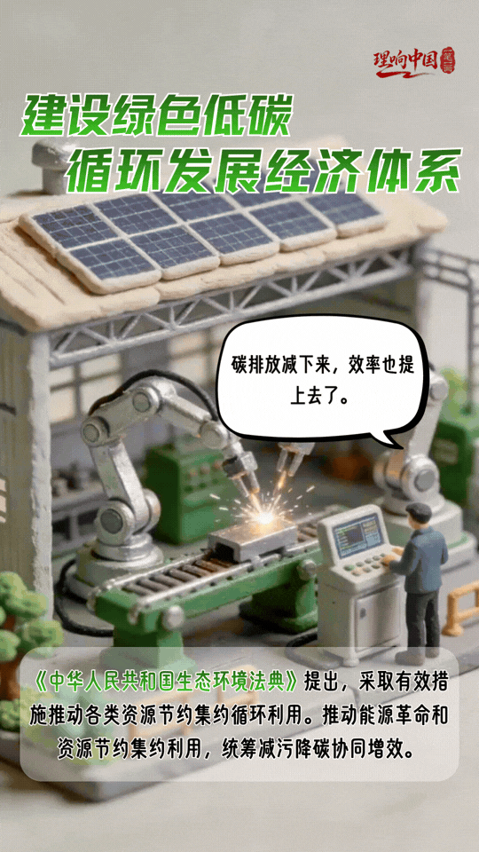 理响中国·一笔一画｜法治护绿！“典”亮美丽中国