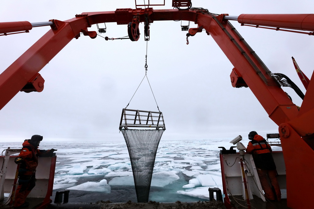 图为科考队员正在回收底拖网。新华社记者 刘诗平 摄 他讲述了一次难忘的取样经历，即在北纬75度18分进行的陆坡区站位拖网作业。 “一网下去，网袋里不仅有数量可观的海星、海蛇尾、雪蟹和管栖多毛类，而且网衣和网架上居然还带回了很多完好的海百合和海鳃。”刘坤说，收获之丰，队员们在艉甲板底拖作业和处理样品花了约3个小时，在室内对样品分装和拍照又用了2个小时。 考察队注意到，在融冰初期—中期—末期的连续观测中，海底影像显示近底颗粒和絮状物显著增加，并与上覆水体的“冰藻下沉潮”同步。 “出乎意料的是，我们通过海底生物影像观测系统，在约2200米深海区域捕捉到大量絮状、团聚状冰藻藻团，这显示上层—海底耦合在北极深海同样可能强烈发生。”刘坤说，这一发现为后续的长期连续观测与跨区域对比提供了关键线索，也为解析深水区上层—海底耦合过程打开了新窗口。 刘坤表示，这次考察踩准了海冰初融这一关键窗口期：冰藻和有机颗粒开始迅速下沉，考察队同步开展底拖网与箱式取样器获取样品，把海冰融化“过程”与底栖生物“样品”时间配对，由此识别“哪些底栖动物在吃”和“吃了多少”，从而有效评估北极海冰消退背景下底栖食物网的变化。 谈到未来如何更好地开展北极底栖生物调查和监测，刘坤和黄雅琴建议，加强国际合作，建立高效、标准化的北极大型底栖生物群落监测，同时扩展对微型和小型底栖生物类群的监测；更好地利用载人潜水器、无人遥控潜水器和海底生物影像观测系统等先进设备开展可视化调查，进行北冰洋区域间的底栖生物比较研究。（记者刘诗平）
